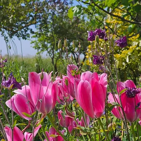 Meertraum Tatil Evi Dornum