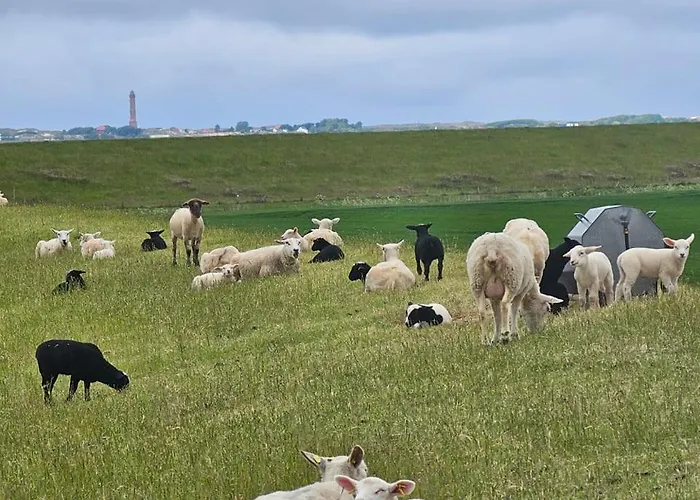 Meertraum Tatil Evi *